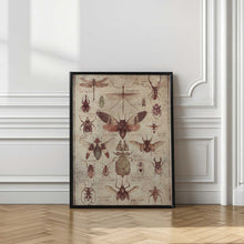 Load image into Gallery viewer, Vintage-style Insects