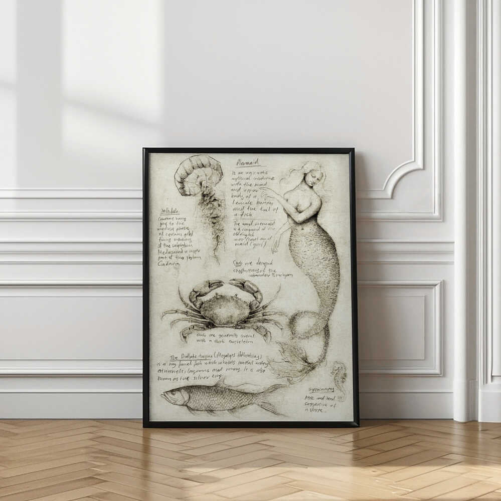 Mythical And Marine Creatures