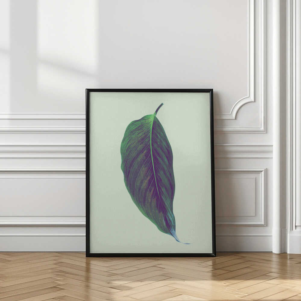Serene Green Leaf