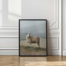 Load image into Gallery viewer, Sheep Study
