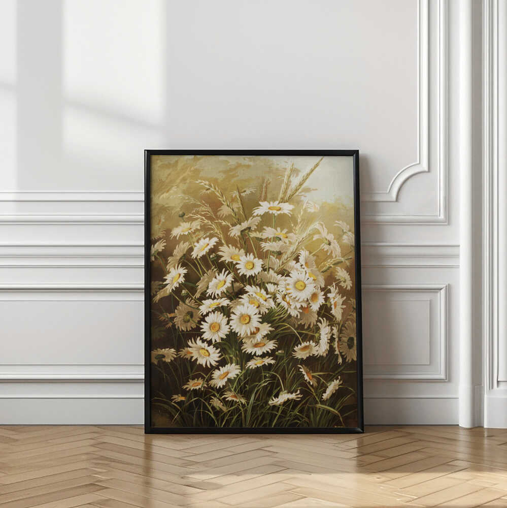 Daisies By Ellen Thayer Fisher