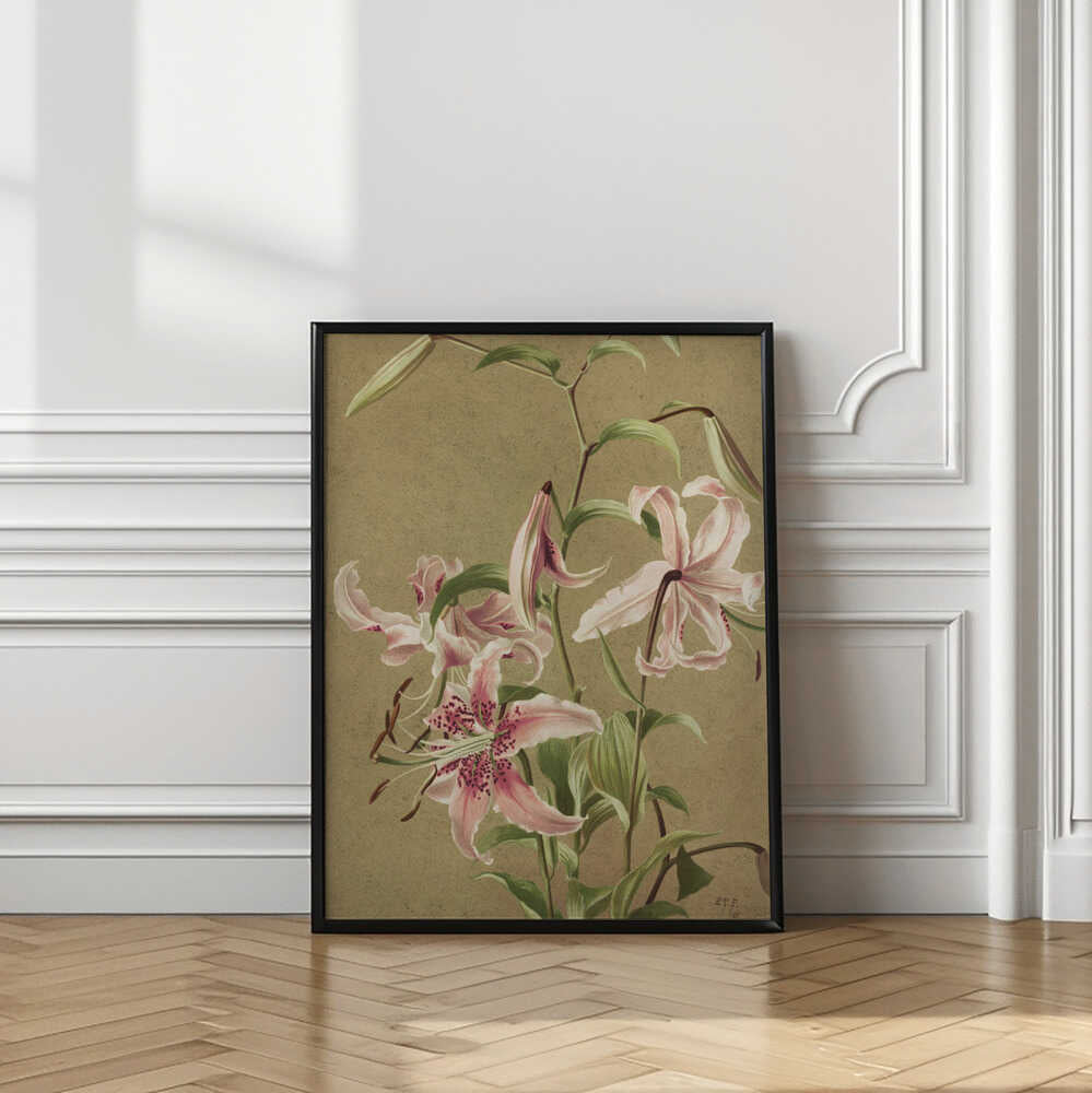 Japan Lily By Ellen Thayer Fisher