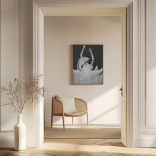Load image into Gallery viewer, Amadeus