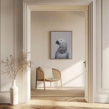 Load image into Gallery viewer, African Grey