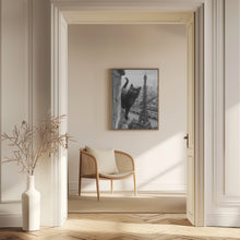 Load image into Gallery viewer, Kitty in Paris