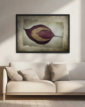 Load image into Gallery viewer, The Story of Nature