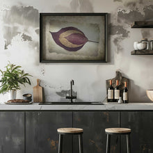 Load image into Gallery viewer, The Story of Nature