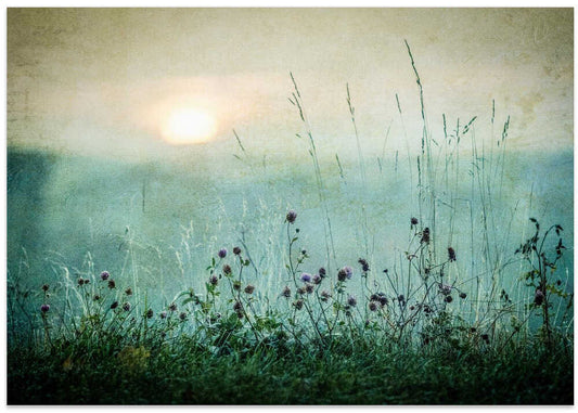Autumn sunrise