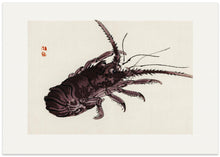 Load image into Gallery viewer, Crayfish