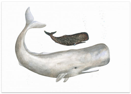 Gentle Ocean Giants
