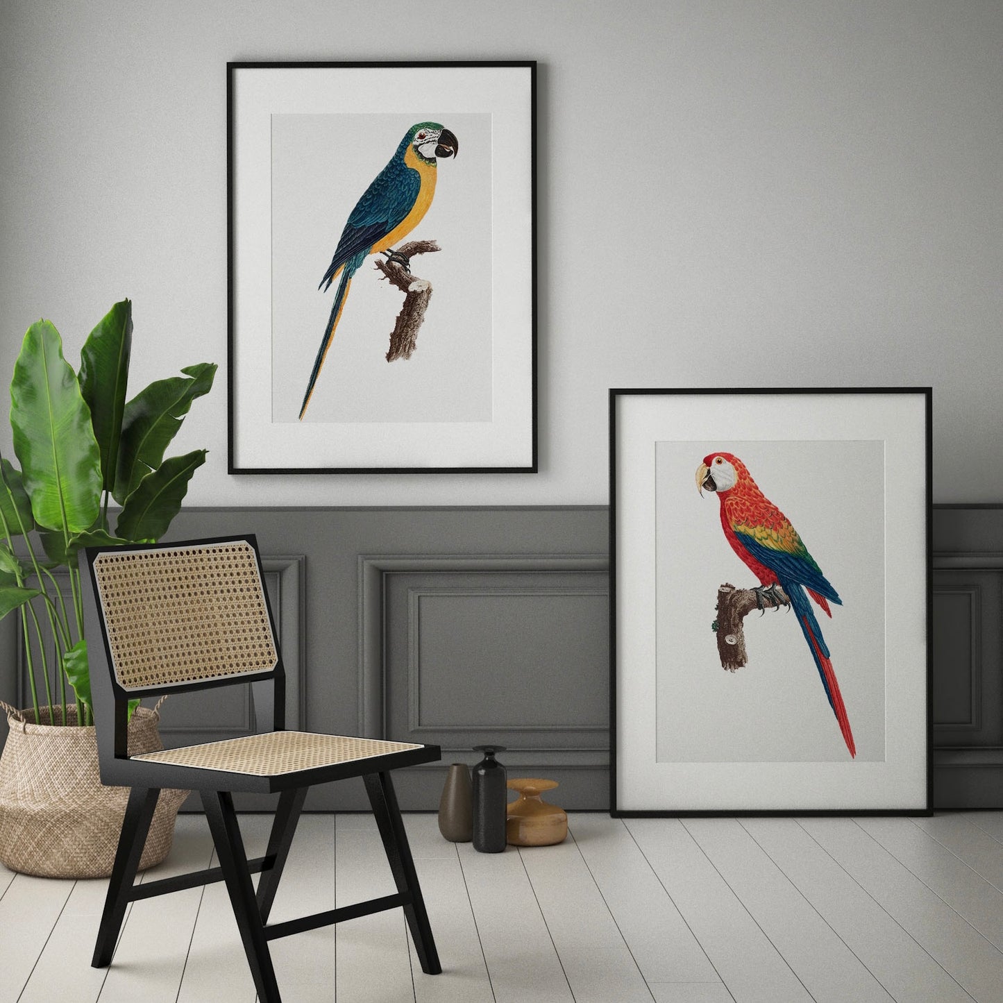 Vintage Parrot Set of Two Gallery Wall | Bird wall art set