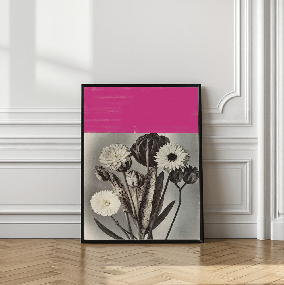 Pink Botanical Contrast