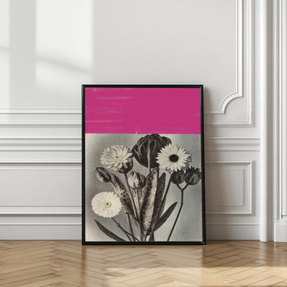 Pink Botanical Contrast