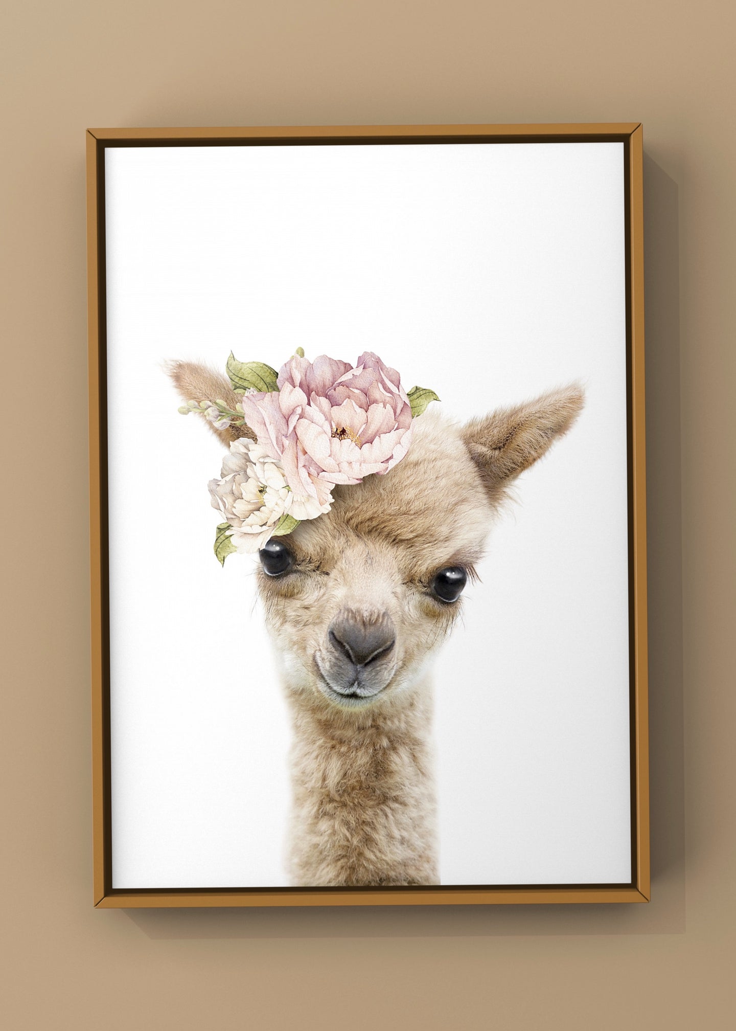 Floral Baby Llama By Lola Peacock