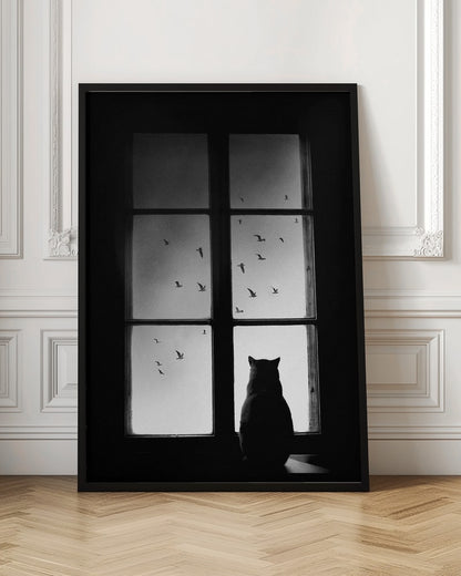 Black Cat Window View