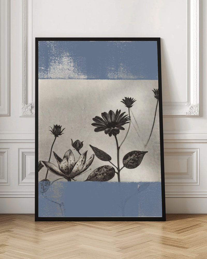 Serene Blue Botanicals