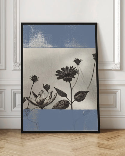 Serene Blue Botanicals