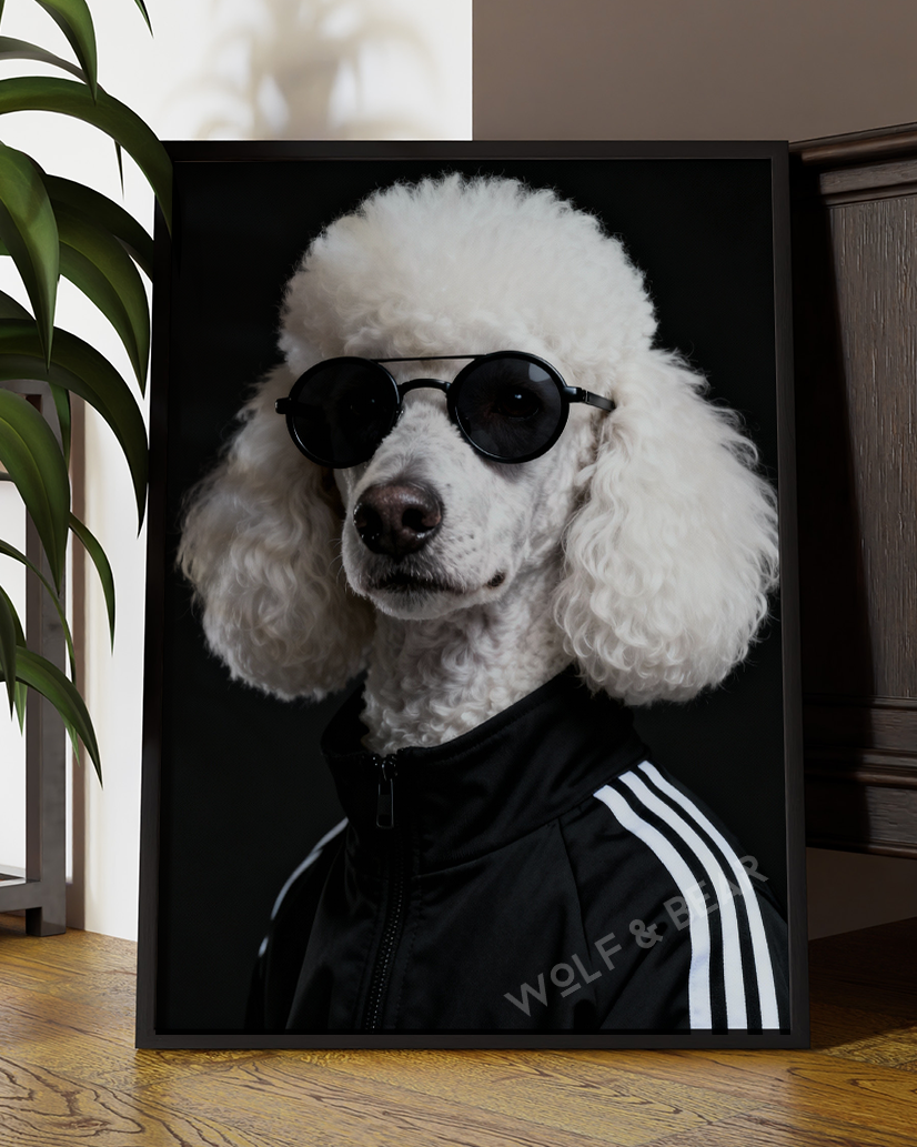 Hipster Dog Wall Art – Poodle in Tracksuit and Shades