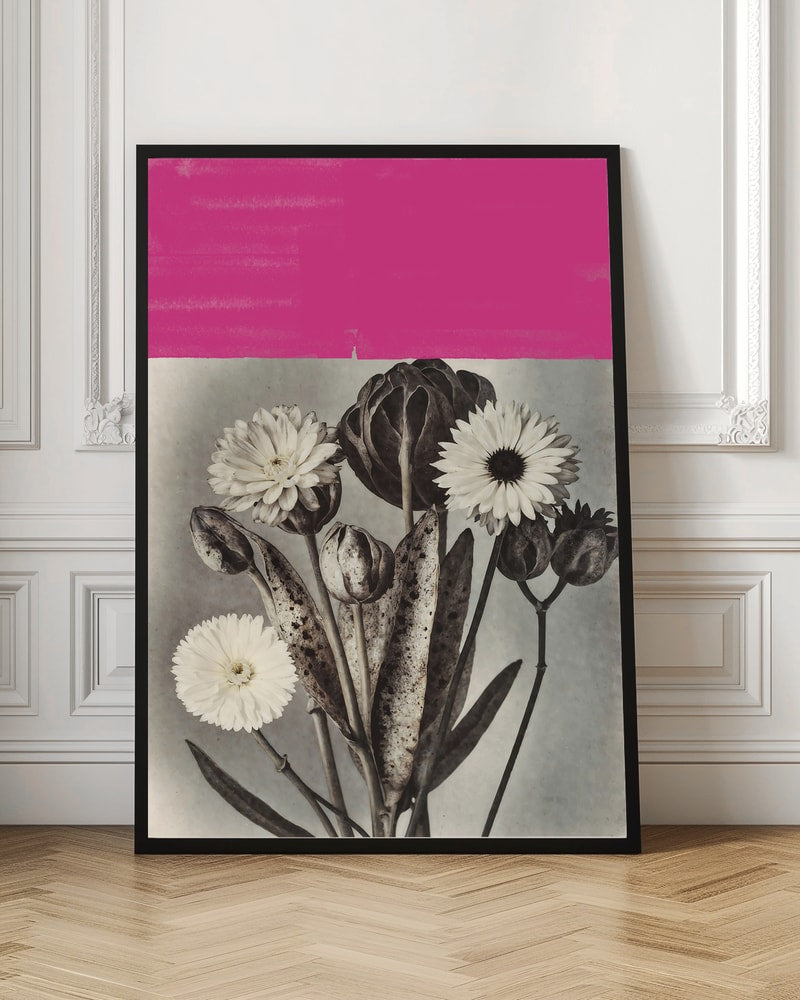 Pink Botanical Contrast