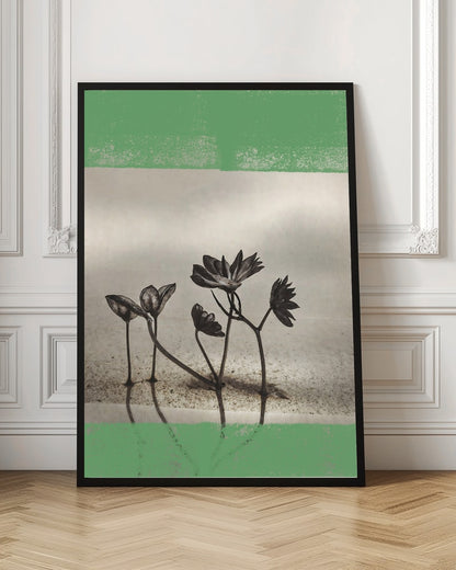 Reflected Green Flowers
