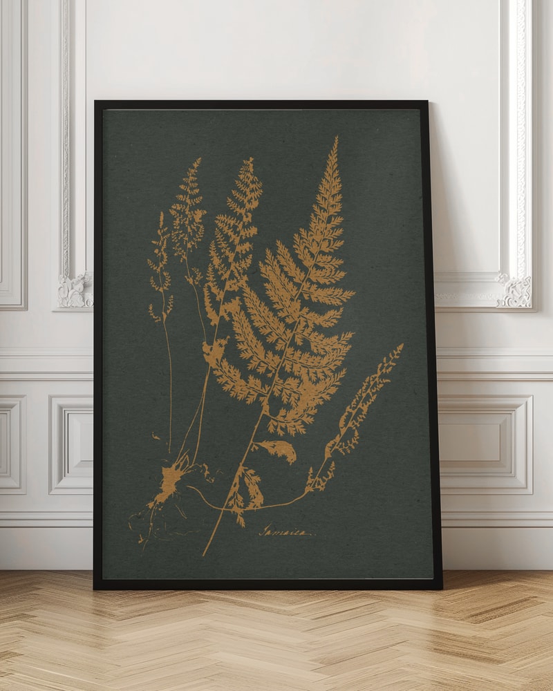 Vintage Fern Botanical