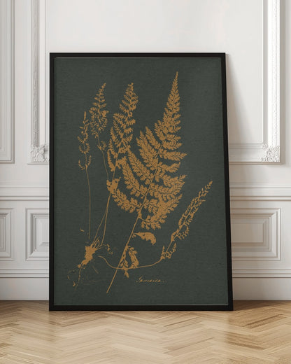 Vintage Fern Botanical