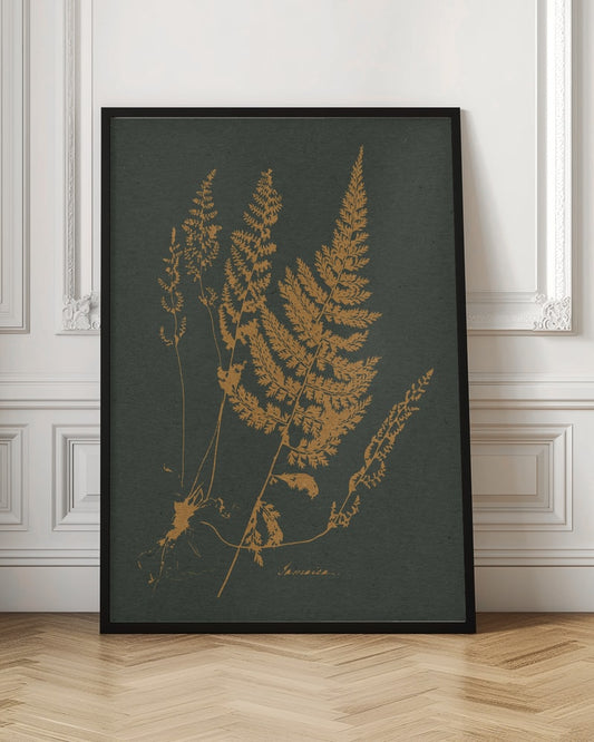 Vintage Fern Botanical