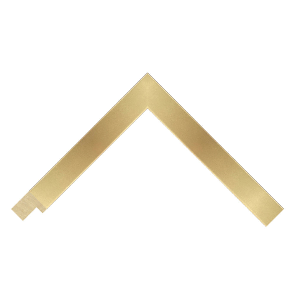 Solid Wood Gold Coated Matt Frame