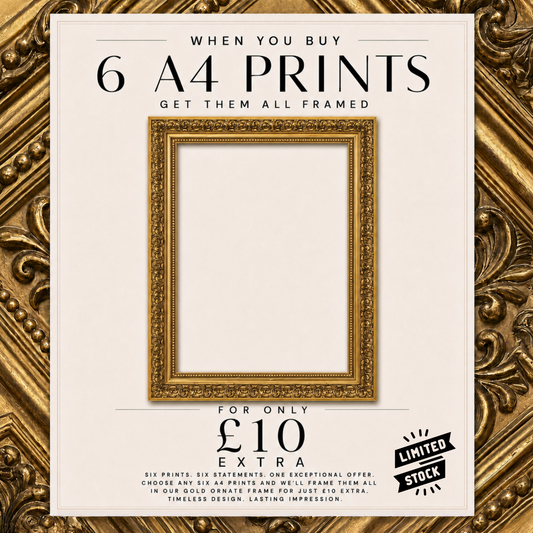FRAME OFFER