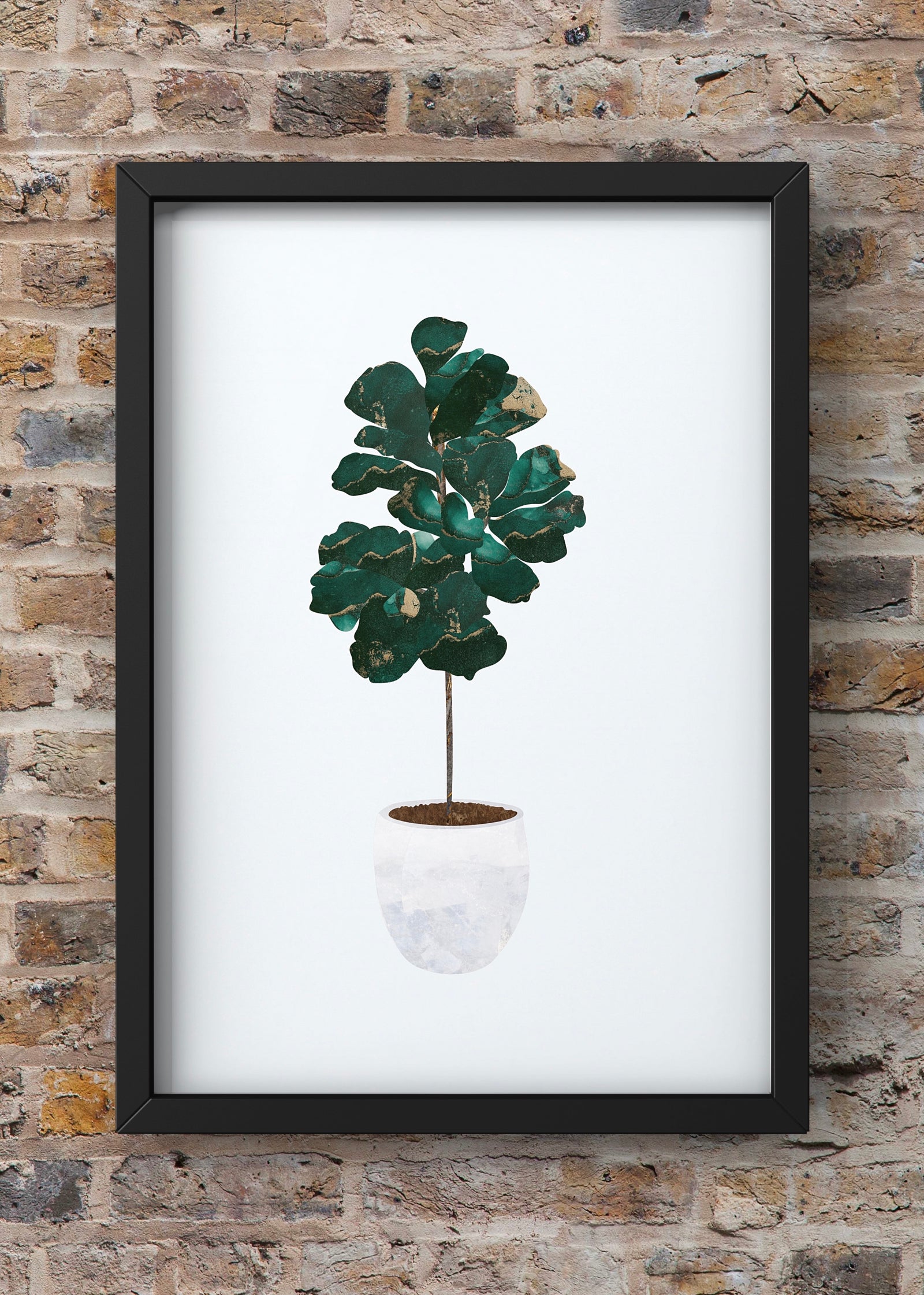 Fiddle leaf fig By Sarah Manovski