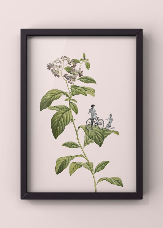 Botanical Cycling By Frida Floral Studio
