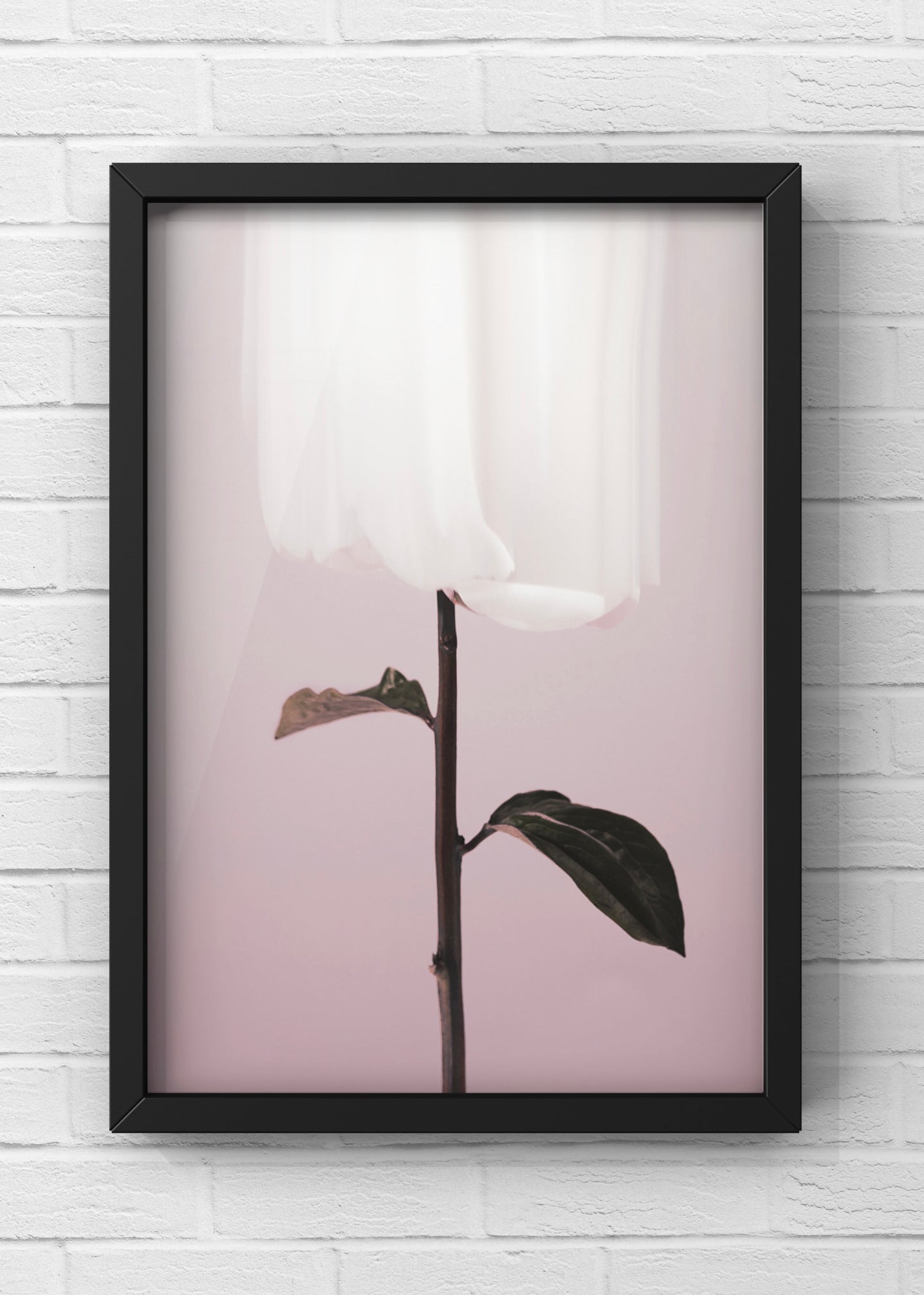 Peony 19 | Minimal Modern Art  | From Studio III