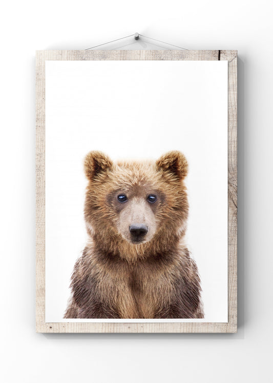 Baby Bear by Kathrin Pienaar