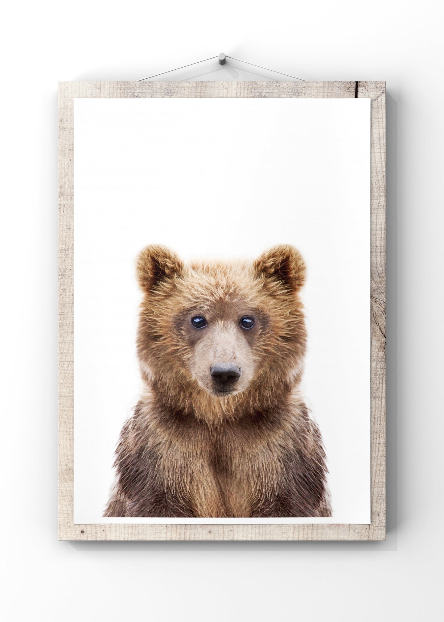 Baby Bear by Kathrin Pienaar