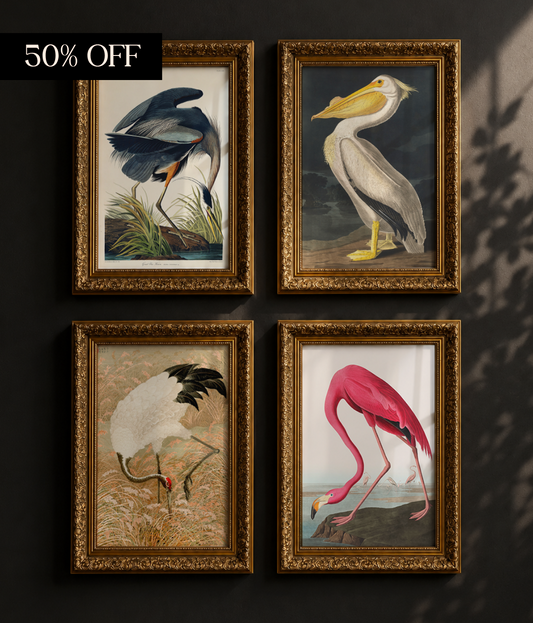 Vintage Birds  Bundle Set of 4 | A4 Frames in Ornate Gold  RRP £139.96