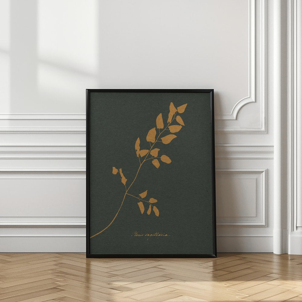 Golden Fern Silhouette