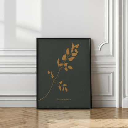 Golden Fern Silhouette