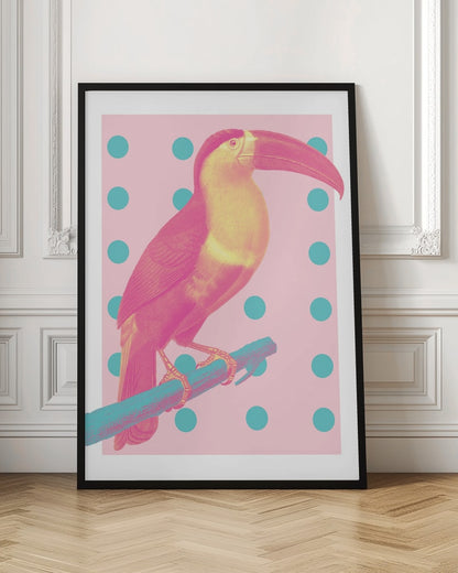 Pink Pop Toucan