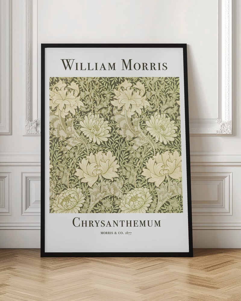 Chrysanthemum