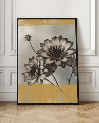 Vintage Dahlia Blooms