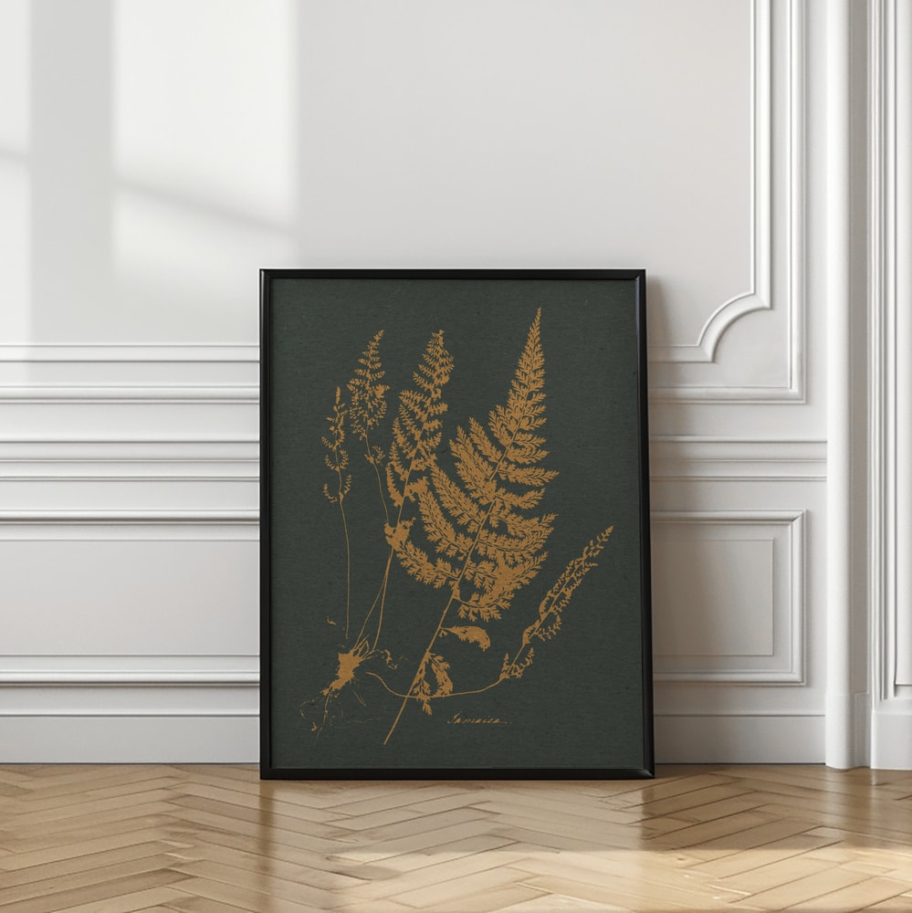 Vintage Fern Botanical