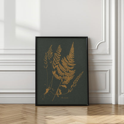 Vintage Fern Botanical