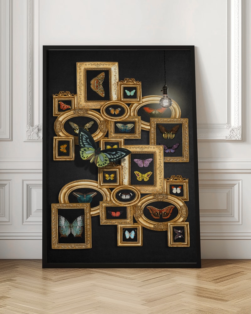Vintage Butterfly Gallery