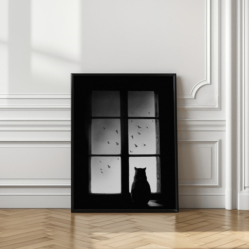 Black Cat Window View