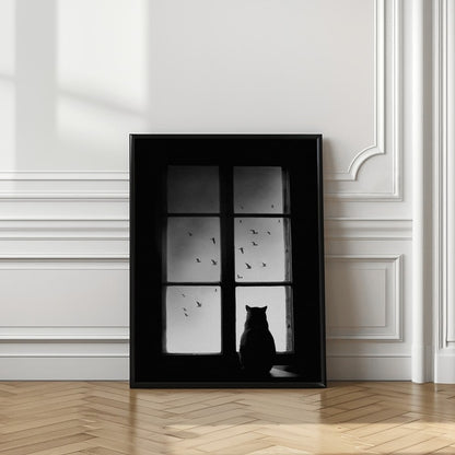 Black Cat Window View