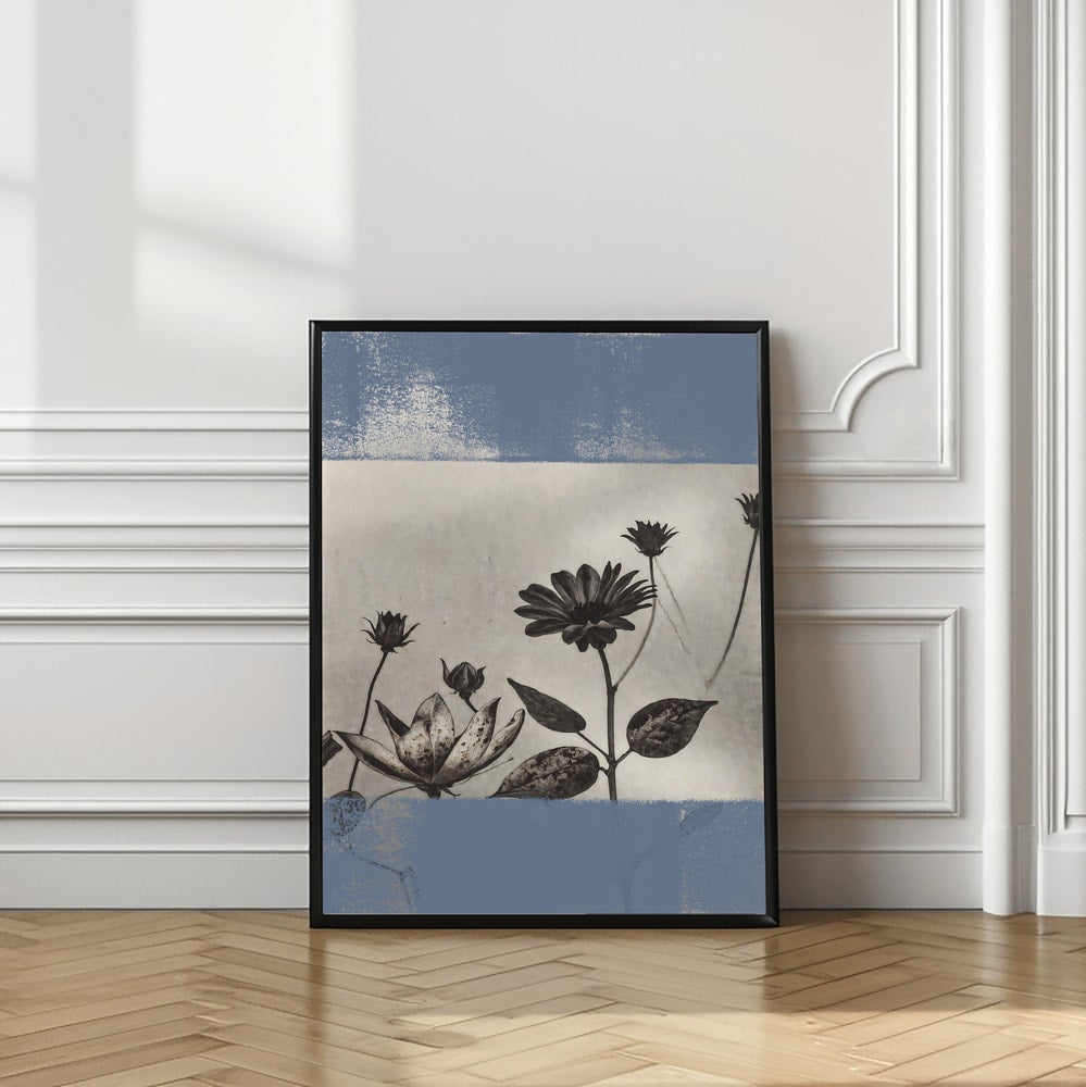 Serene Blue Botanicals