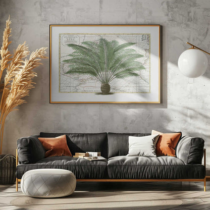Vintage Palm Atlas