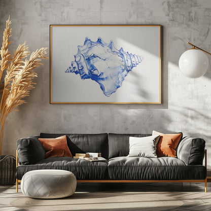 Blue Conch Harmony