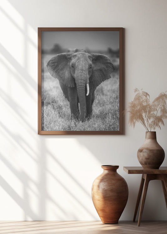 SINGULARITY | Elephant wall art
