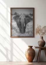 Load image into Gallery viewer, SINGULARITY | Elephant wall art
